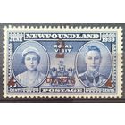 Британские колонии. Ньюфаундленд 1939 SG273 MH