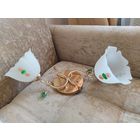 Люстра на 2 плафона