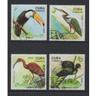 Фауна Птицы Куба 1989  Филателистическая выставка Brasiliana-89 в Рио-де-Жанейро Used