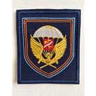 Ремонтно- восстановительный полк ВДВ( на липе)