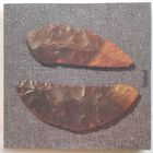 Алесь Камоцкі. Навошта было мінулае: вершы.