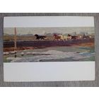 1958. спорт. Захаркин. На бегах