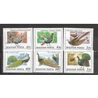 ФФ1 Венгрия 1977 Птицы