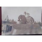 Фото в коллекцию