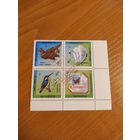 1999 Беларусь фауна угловой квартблок чистый клей MNH** (1-л1)