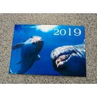 Календарик карманный дельфины 2019
