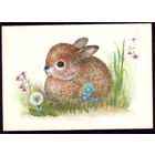 Мини 1985 год Т.Жебелева Зайчонок чист