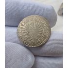 Грош коронный 1610 года.