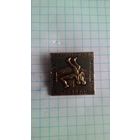 Международный турнир по вольной борьбе на приз А. Медведя. Минск *