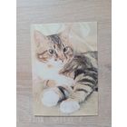 Календарик 1993