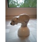 Солонка Медведь KARL ENS