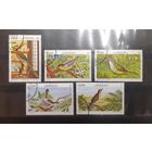 Куба. 1978 год. Фауна. Птицы (416)