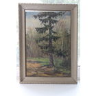 Картина "Ель" Витебск художник-Кузнецов НОВОГОДНЕЕ СНИЖЕНИЕ ЦЕН!