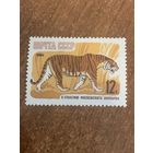 СССР 1964. Тигр. Марка из серии