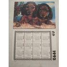 Карманный календарик. Собака. 1993 год