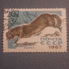 СССР 1967. Фауна. Норка. Марка из серии