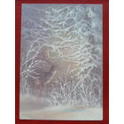 С Новым Годом ! Чистая.  1988 года. Исаков. 1770.