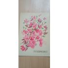 Открытка поздравляю чистая. Соколова