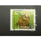 Канада 1988. Канадские млекопитающие. Североамериканский дикобраз