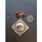 Значок легкий