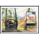 V Национальная филателистическая выставка "БелФИЛА-2006" Беларусь 2006 год (676)  1 блок с надпечаткой