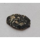 Чешуя-копейка