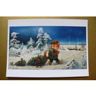 Современная открытка, Маскаев Александр, чистая; кот, елка, Новый год (изд. Россия).