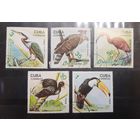 Куба. 1989 год. Фауна. Птицы (344)