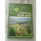 В.Н.Кісялёў. Неўміручая песня лясоў.\16д