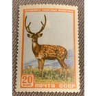 СССР 1957. Пятнистый олень. Марка из серии
