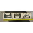 Лот из трех фото 1979-1979г Петербург ( Царское село, Петродворец, Петропавловский собор) города, архитектура