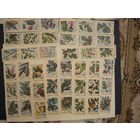 Спичечные этикетки. Киров. 45шт