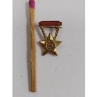 Знак-фрачник ВНР. Отличный работник