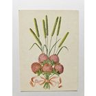 Открытка СССР Литва 1973 Берташюте Янина Минтис букет клевер/