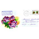 2004. Конверт, прошедший почту "Цветы-6"