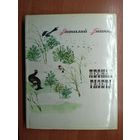 Виталий Бианки "Лесная газета"