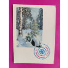 С новым годом! Чистая. 1967 года. Фото Матанова. 2464.