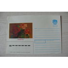 1989, 1990, ХМК, СССР; Круцко Б., Поздравляю! (на белорусском языке).