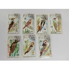 Марки  Птицы Монголия  1987г  7шт