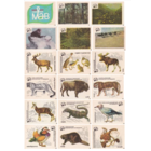 Спичечные этикетки. Сувенирный набор. Земля только одна.1983 год