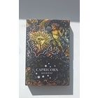 Козерог (Capricorn) 20 рублей Серебро 2014 . Знаки зодиака . В оригинальном футляре НБРБ .