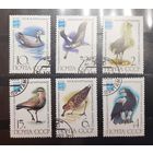 СССР. 1982 год. Фауна. Птицы. Орнитологический конгресс (425)