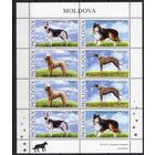 Молдова 2006. Фауна. Собаки малый лист (274)