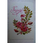 Кирпичева Н., Поздравляю! 1974, подписана.