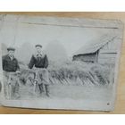 Фото сельская жизнь (снопы льна или эерно)