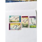 Монголия  1990 4м