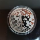 666. Лапчатка скальная. 20 Рублей, 2017 г.