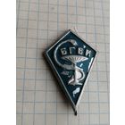 Знак об окончании ромб БГВИ Витебск
