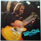 LP THE BLUE EFFECT - A BENEFIT OF RADIM HLADIK (1980)