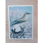 Егоров 1984 чистая